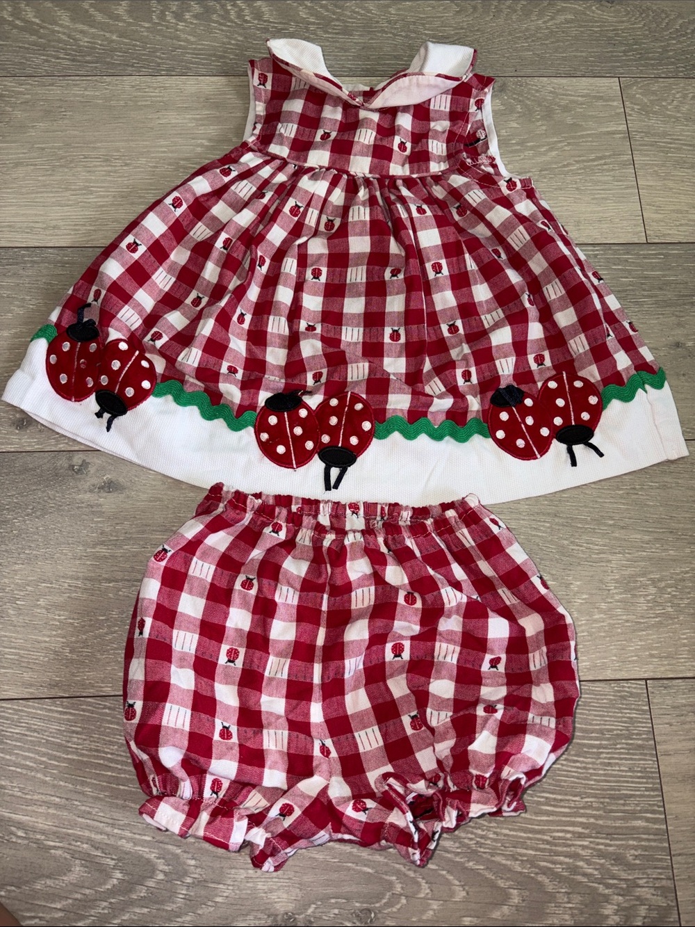Starting Out Red and White Gingham Ladybug Applique Dress Set